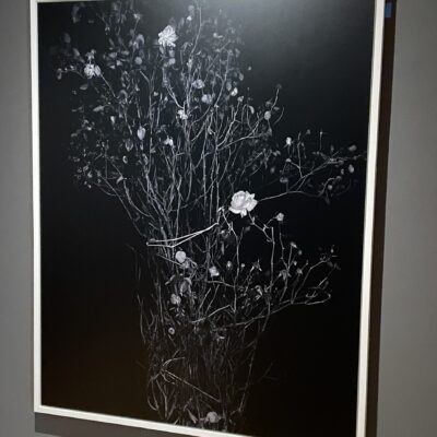 Sarah Jones @FLAG Art Foundation