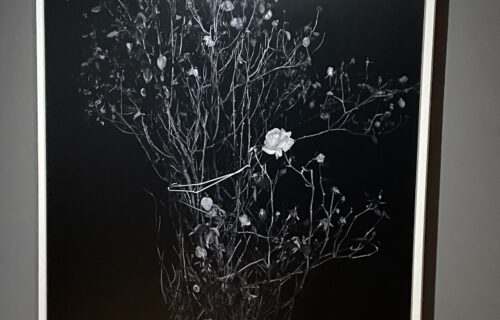 Sarah Jones @FLAG Art Foundation