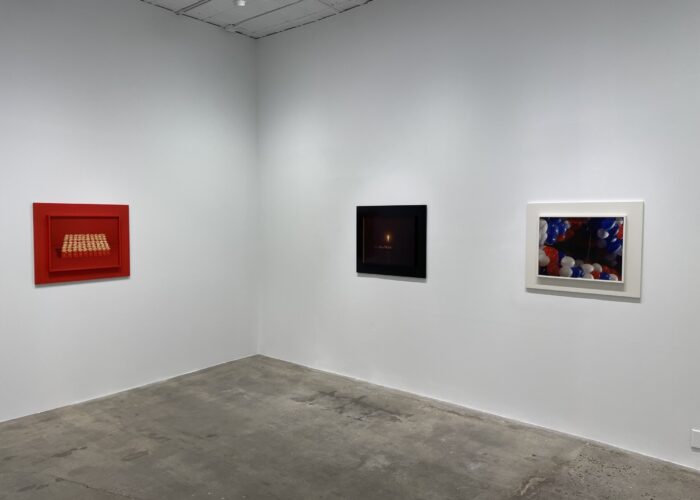 Taryn Simon @Gagosian