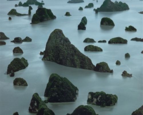Auction Results: Modern & Contemporary Art Day Sale, March 7, 2025 @Phillips London