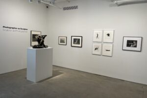 Photographer as Sculptor, Sculptor as Photographer @Bruce Silverstein