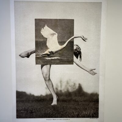 Ronit Porat @L’Space