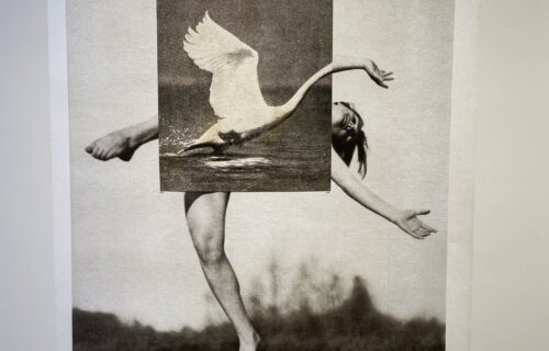Ronit Porat @L’Space