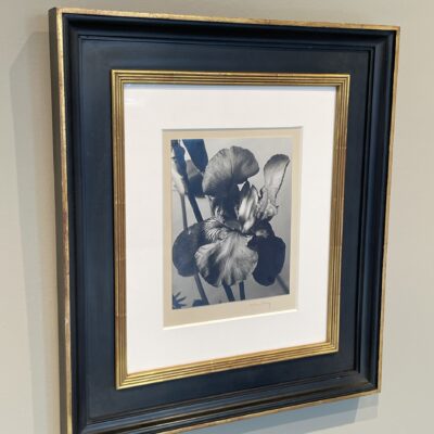 Man Ray @L’Space