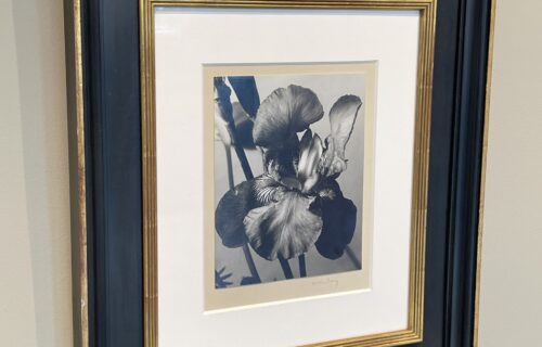 Man Ray @L’Space