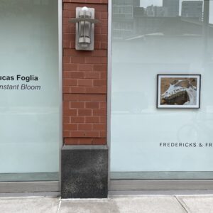 Lucas Foglia, Constant Bloom @Fredericks & Freiser