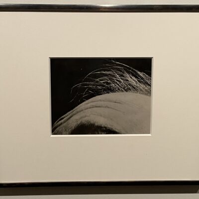 Paul Edmund Hahn @Met