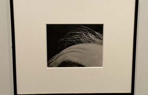Paul Edmund Hahn @Met