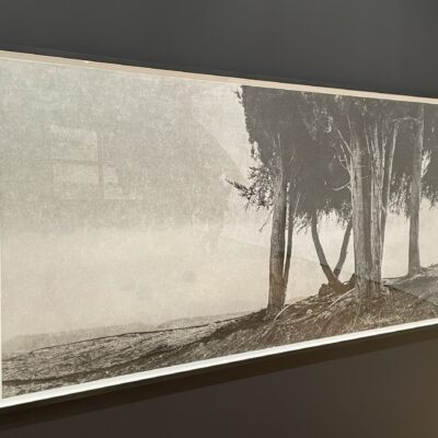 Jungjin Lee @Grey Art Museum (NYU)