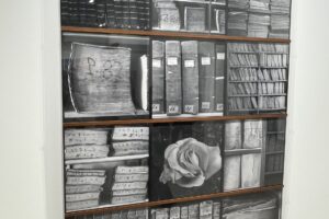 Photography Highlights from the 2025 Frieze New York Art Fair