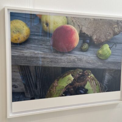 Wolfgang Tillmans @Independent