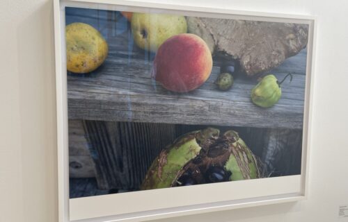 Wolfgang Tillmans @Independent
