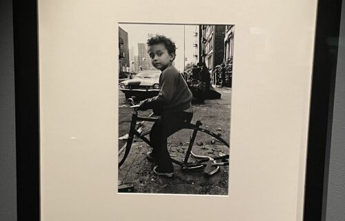 Arlene Gottfried @New York Historical