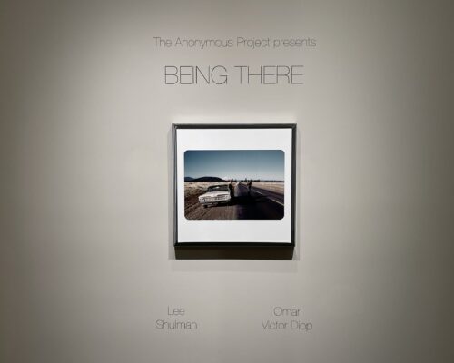 Lee Shulman & Omar Victor Diop, Being There @Edwynn Houk