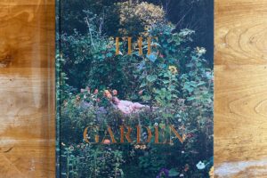 Siân Davey, The Garden