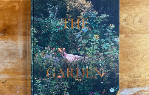 Siân Davey, The Garden