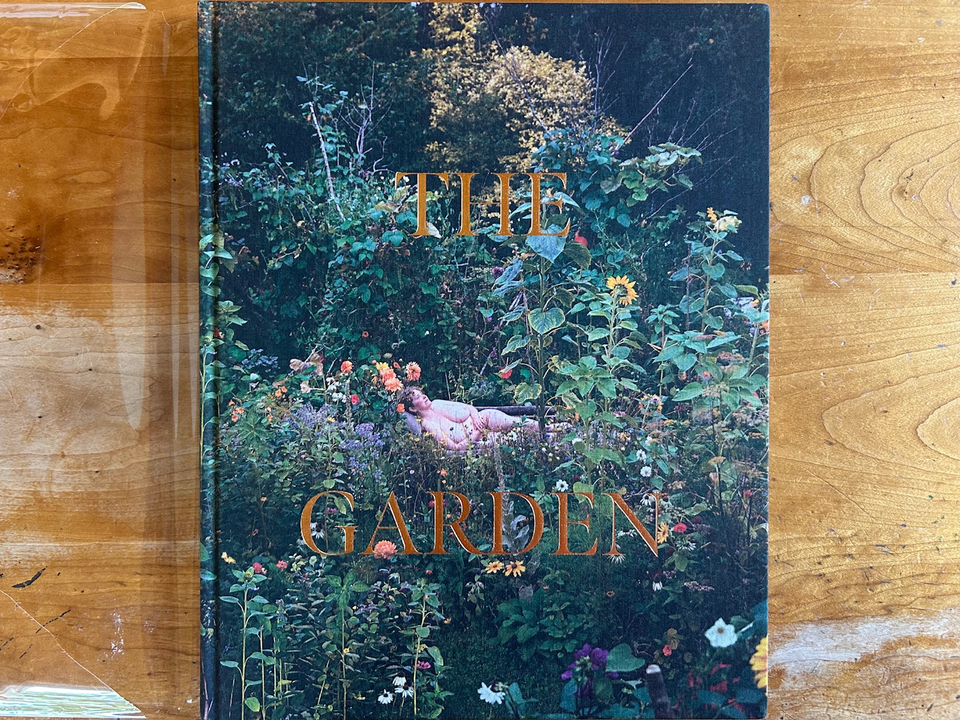 si-n-davey-the-garden-collector-daily