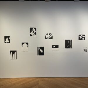 Jochen Lempert @Anton Kern