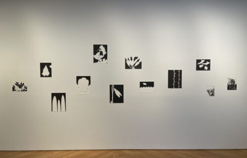 Jochen Lempert @Anton Kern