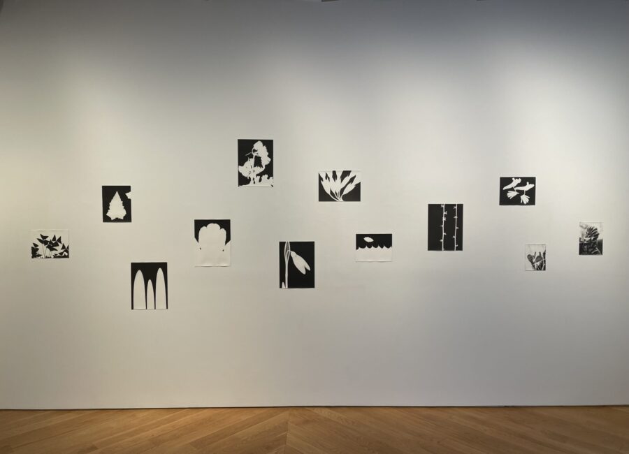 Jochen Lempert @Anton Kern