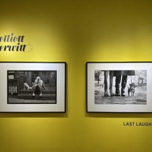 Elliott Erwitt, Last Laughs @Staley-Wise