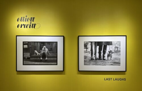Elliott Erwitt, Last Laughs @Staley-Wise