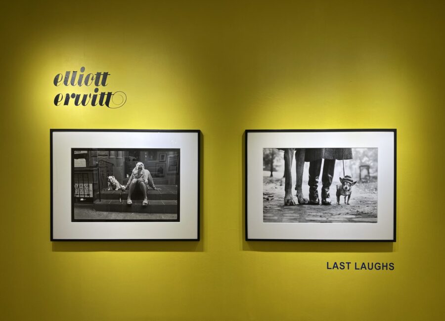 Elliott Erwitt, Last Laughs @Staley-Wise
