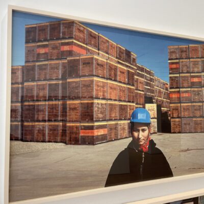 Gauri Gill @James Cohan