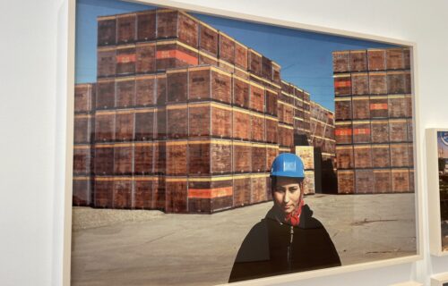 Gauri Gill @James Cohan