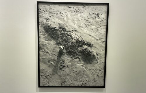 Jenny Calivas @Yancey Richardson