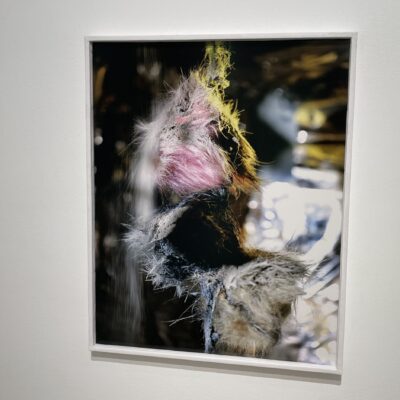 Diane Severin Nguyen @PPOW