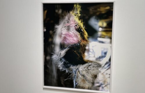 Diane Severin Nguyen @PPOW