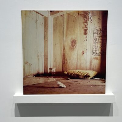 Jane and Louise Wilson @303 Gallery