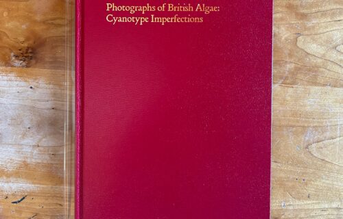 Mandy Barker, Photographs of British Algae: Cyanotype Imperfections