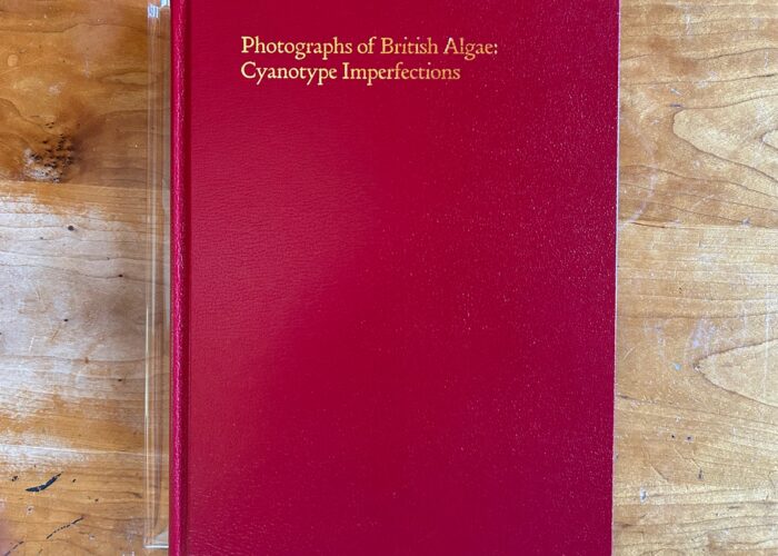 Mandy Barker, Photographs of British Algae: Cyanotype Imperfections