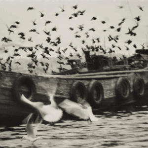 Auction Results: Photography and Contemporary Art (Evening and Day Sales), May 30 and 31, 2025 @Lempertz