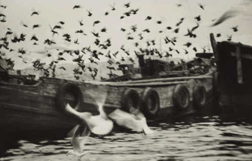 Auction Results: Photography and Contemporary Art (Evening and Day Sales), May 30 and 31, 2025 @Lempertz