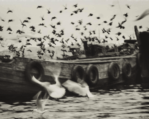 Auction Results: Photography and Contemporary Art (Evening and Day Sales), May 30 and 31, 2025 @Lempertz