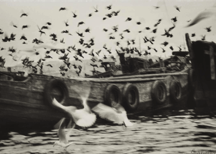 Auction Results: Photography and Contemporary Art (Evening and Day Sales), May 30 and 31, 2025 @Lempertz
