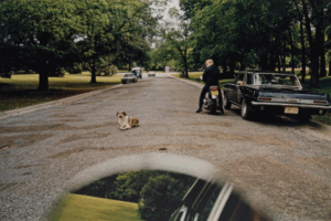 Auction Results: Color Vision: Master Prints from Guy Stricherz and Irene Malli, June 27, 2025 @Phillips (online)