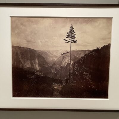 Charles Weed @Hans Kraus