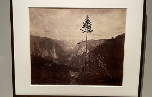 Charles Weed @Hans Kraus