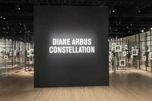 Diane Arbus: Constellation @Park Avenue Armory
