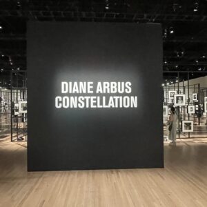 Diane Arbus: Constellation @Park Avenue Armory