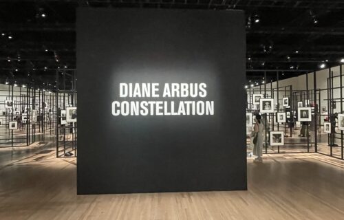 Diane Arbus: Constellation @Park Avenue Armory