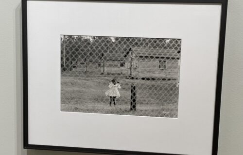 Bruce Davidson @Howard Greenberg