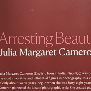 Arresting Beauty: Julia Margaret Cameron @Morgan Library