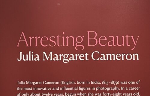 Arresting Beauty: Julia Margaret Cameron @Morgan Library