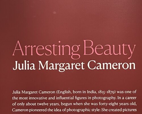 Arresting Beauty: Julia Margaret Cameron @Morgan Library