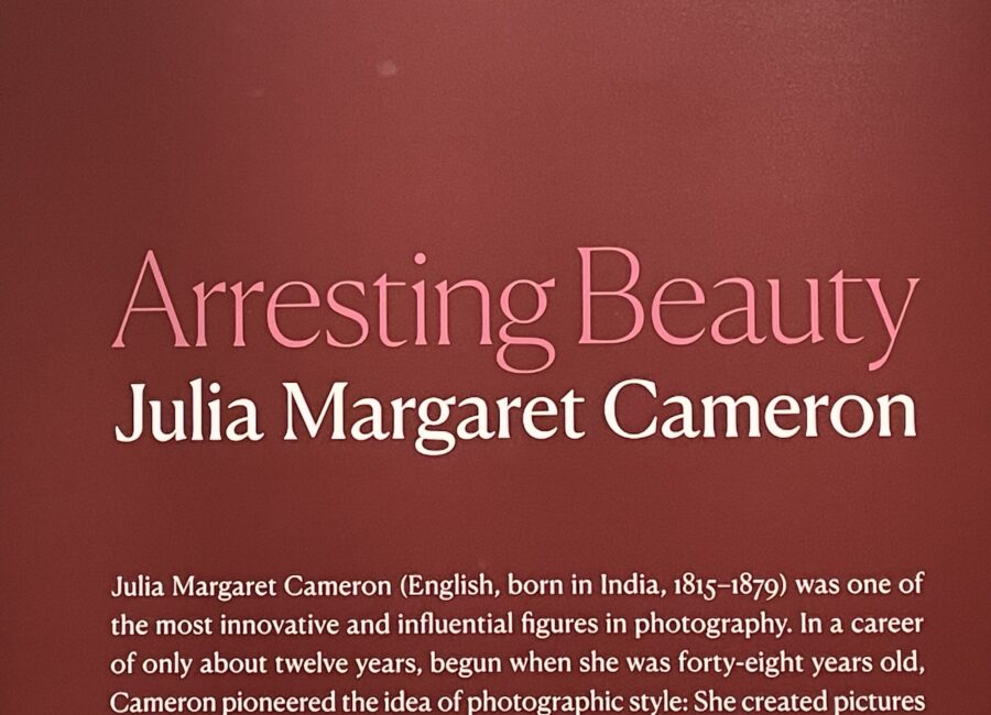 Arresting Beauty: Julia Margaret Cameron @Morgan Library